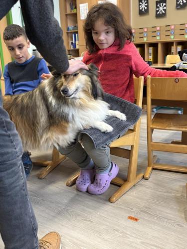 23301af3-12a0-4702-8b44-e6795fc20acd